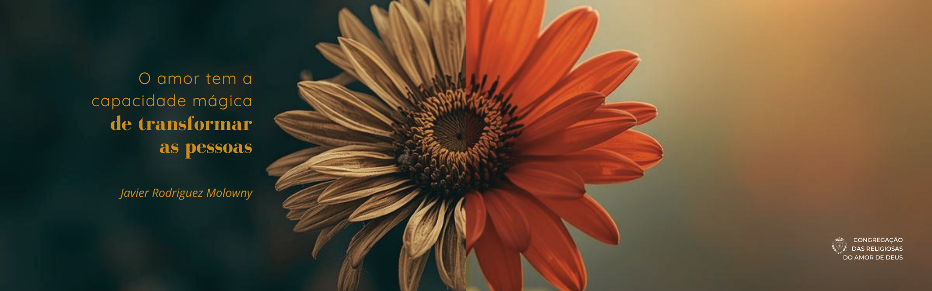 Banner site 20252026 LIDERANÇA (3)